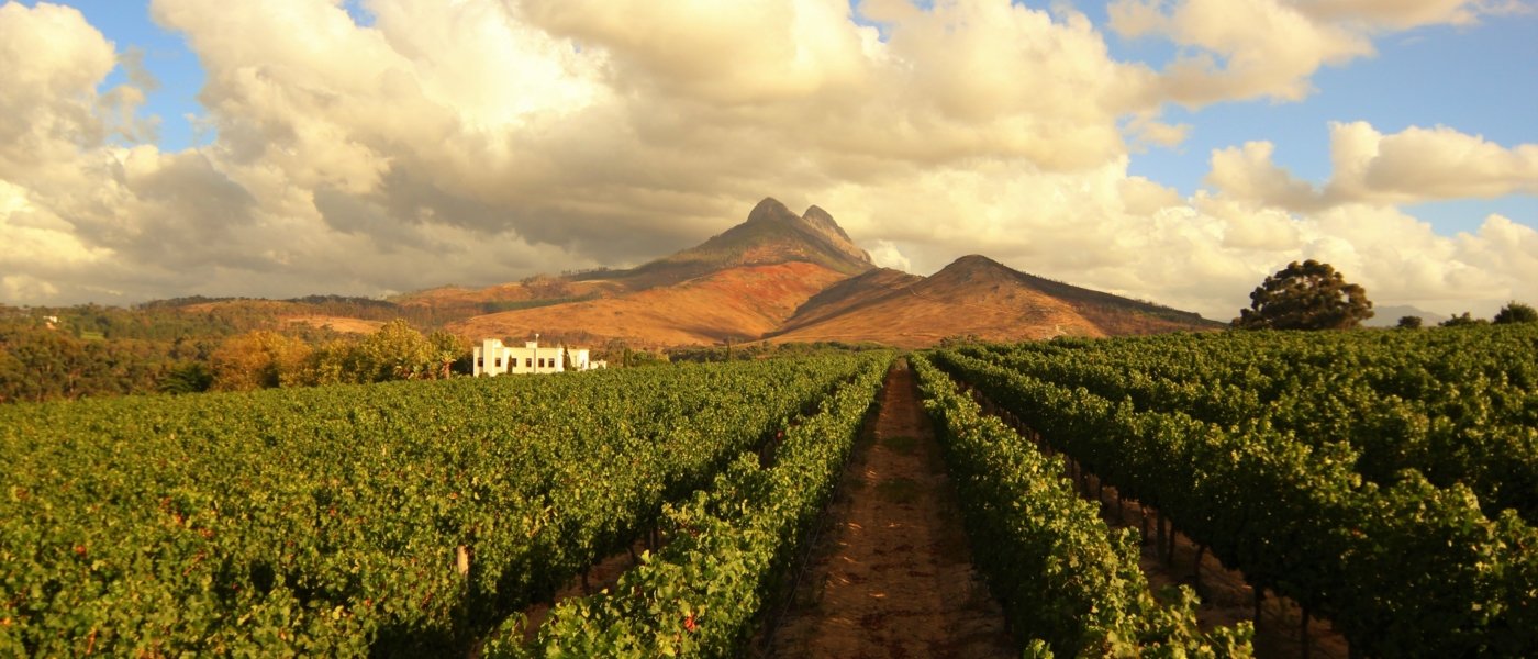 Exploring Stellenbosch's Quirky Side - Wine Paths